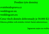 Zvyrazneni inzerce domény